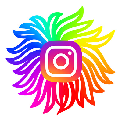 Poms в Instagram